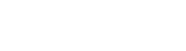 Logo Partner GitHub